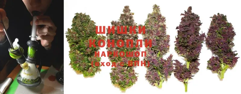 Канабис SATIVA & INDICA  Лысково 